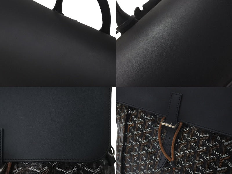 極美品 GOYARD ゴヤール アルパン バックパックMM ALPIN2MMLTY01CL01P PVCコーティングキャンバス ブラック 中古  61373 – Casanova Vintage