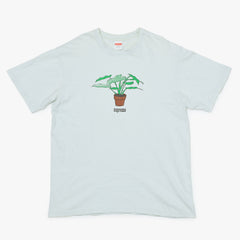 SUPREME シュプリーム tシャツ 17FW Plant Tee プラント 青 ブルー サイズL 良品 中古 4b010632