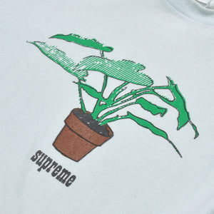 SUPREME シュプリーム tシャツ 17FW Plant Tee プラント 青 ブルー サイズL 良品 中古 4b010632
