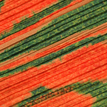 Load image into Gallery viewer, 極美品 ISSEY MIYAKE イッセイミヤケ PLEATS PLEASE プリーツプリーズ スカート PP33-JG655 サイズ5 オレンジ 中古 4b010944