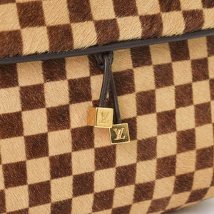 LOUIS VUITTON ルイヴィトン ダミエソバージュ ガゼル クロスボディーバッグ M92130 ハラコ ブラウン 美品 中古 4a001594