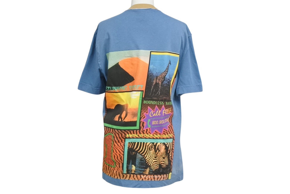 DOLCE&GABBANA ドルチェアンドガッバーナ Vネック半袖Tシャツ サイズ36 GOLDEN SAFARI マルチプリント ブルー 美品 中古 4b001622