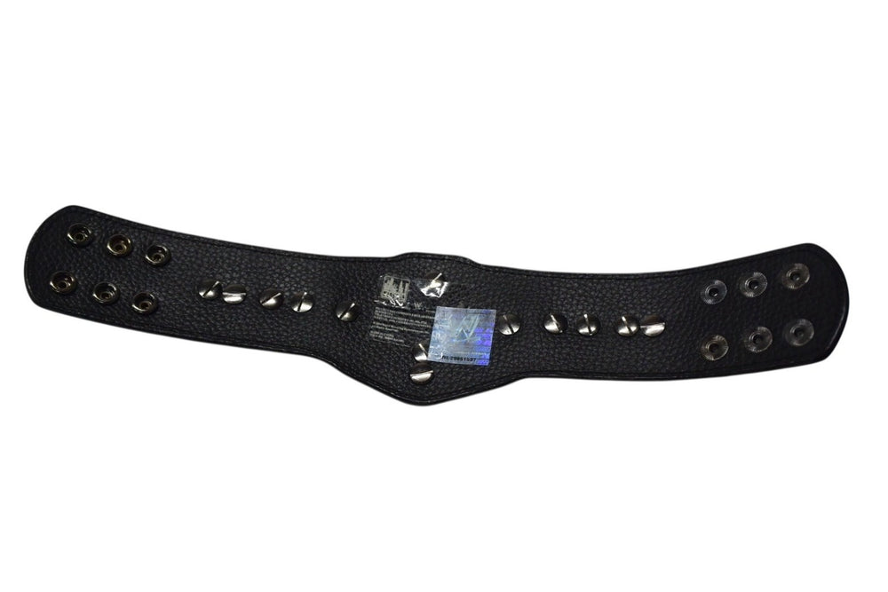 WWE World Wrestling Entertainment ECW CHAMPION Bracelet Champion Pro Wrestling Official Good Condition Used 4b002741