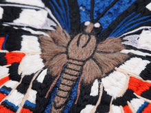 Load image into Gallery viewer, GUCCI グッチ 半袖 トップス レース 刺繍 トリコロール 蝶 ブルー 434551-X5E56 サイズL レディース 良好 N34697