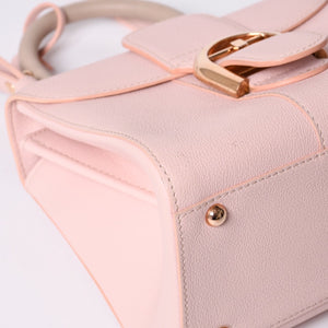 Delvaux Brilliant Brillon Hand Bag Pink Calfskin Good Condition Used 4a000748