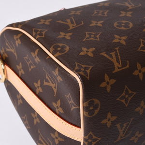 New Unused LOUIS VUITTON Nano Speedy Handbag 2WAY Bag M81085 Monogram Used 4a000998