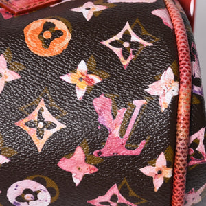 Very Good Condition LOUIS VUITTON Monogram Water Color Richard Prince Papillon Handbag M95730 Brown Red Used 4a000902