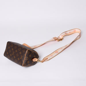 極美品 LOUIS VUITTON ルイヴィトン ハンドバッグ スピーディバンドリエール20 M46594 レザー PVC ブラウン ゴールド金具 中古 4a001241