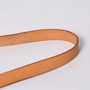 LOUIS VUITTON ルイヴィトン モノグラムデニム バギーPM ショルダーバッグ ワンショルダー M95049 インディゴブルー 美品 中古 4a001244