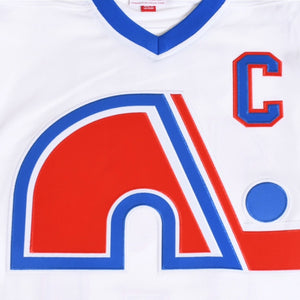 Like new Mitchell&Ness Mitchell &amp; Ness NHL Quebec Nordics Jose Sakick 1994-95 Size L Used 4a002217