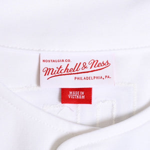 Like new Mitchell&Ness Mitchell &amp; Ness Authentic Uniform Los Angeles Dodgers Pedro Martinez #45 1993 Home White Blue Size L Used 4a002232