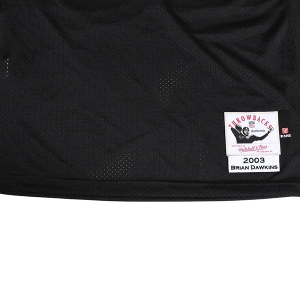 新品同様品 Mitchell&Ness ミッチェルアンドネス NFL フィラデルフィアイーグルス セーフティ ブライアンドーキンス 2003 オルターネイトジャージ Lサイズ 中古 4a002268