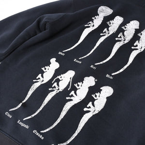 CHROME HEARTS クロムハーツ FOTI フォティ スクロール CHプラス プルオーバーフーディー ブラック 美品 中古 4a003577