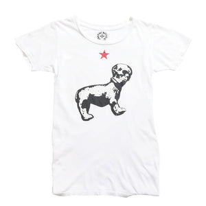 CHROME HEARTS クロムハーツ Joe Foti Dog Star Skull Tee ホースシュー CHプラス ホワイト Tシャツ Sサイズ スカルフェイス ドッグプリント スター 良品 中古 4a003851