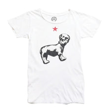 画像をギャラリービューアに読み込む, CHROME HEARTS クロムハーツ Joe Foti Dog Star Skull Tee ホースシュー CHプラス ホワイト Tシャツ Sサイズ スカルフェイス ドッグプリント スター 良品 中古 4a003851