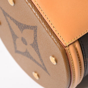 極美品 LOUIS VUITTON ルイヴィトン カンヌ バニティバッグ モノグラム ジャイアント M44603 ブラウン モノグラム リバース ショルダーバッグ 中古 4a004342