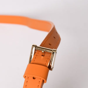 LOUIS VUITTON D'Anura PM 2WAY bag M5891H Epi leather Mandarin orange Gold hardware Good condition Used 4a004831