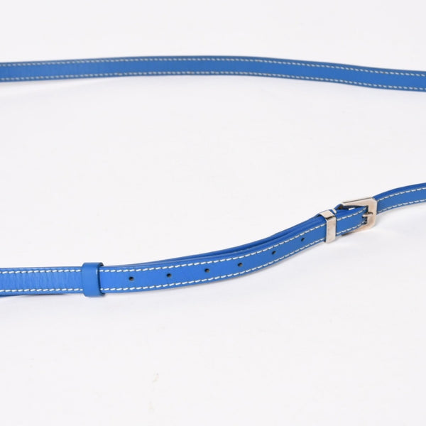 Very Good Condition GOYARD Cup Vert PM Bag Shoulder Bag CAPVE2PMLTY10CL10P PVC Leather Blue Used 4a005297
