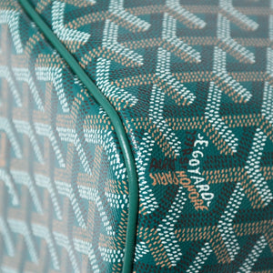 新品同様 GOYARD ゴヤール カペシアン バッグMM ショルダーバッグ CAPETIMMLTY09CG09P グリーン シルバー金具 中古 4a005864