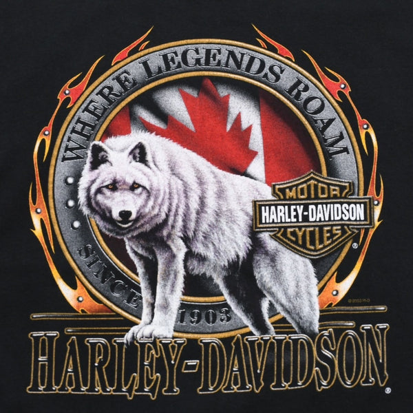 HARLEY DAVIDSON ハーレーダヴィッドソン 00's 半袖Tシャツ ブラック ナイアガラフォールズ カナダ 古着 美品 中古 4a005845
