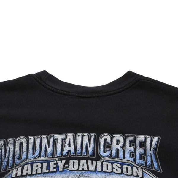 HARLEY DAVIDSON ハーレーダヴィッドソン 00's 半袖Tシャツ サイズL ブラック ジョージア ダルトン 古着 美品 中古 4a005852