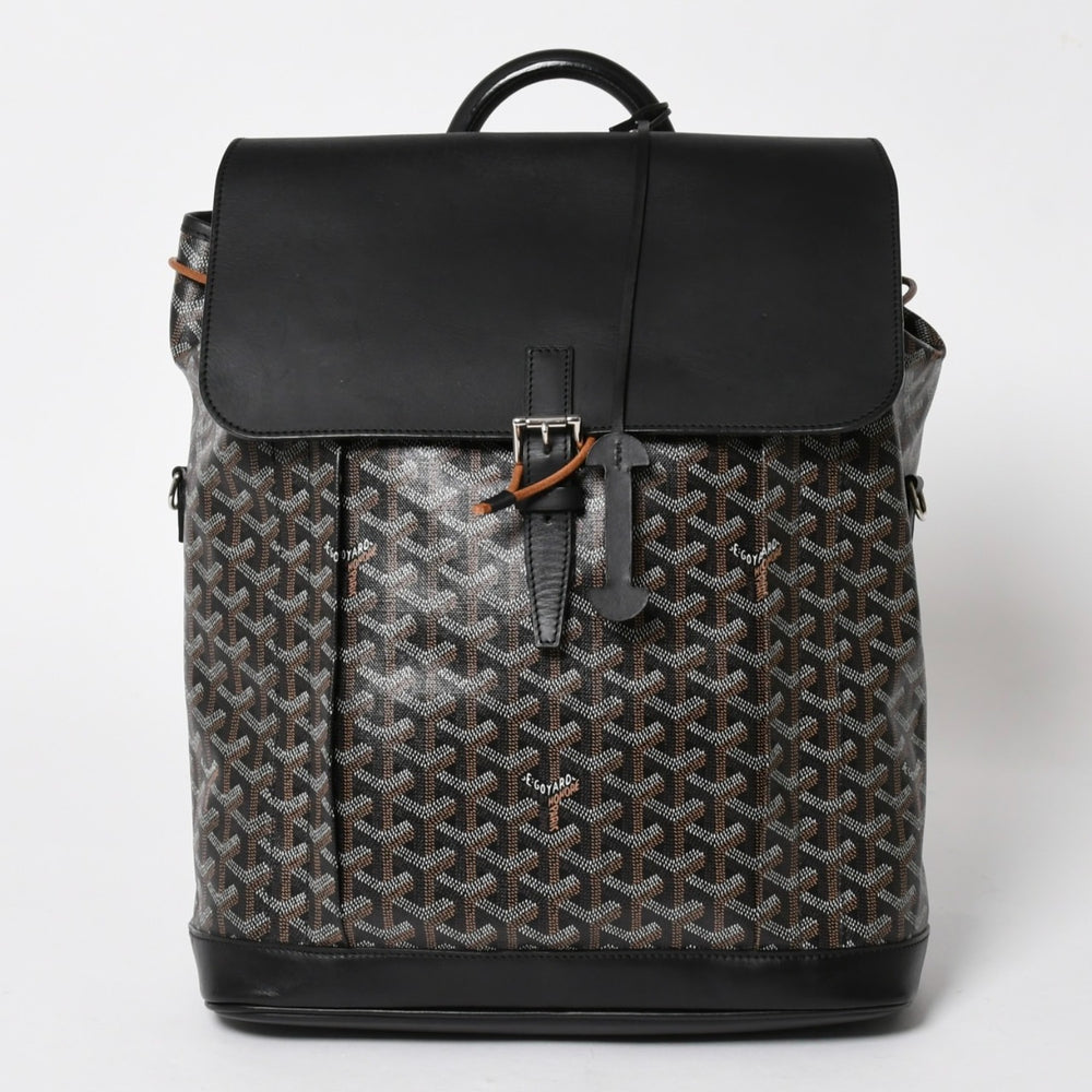 極美品 GOYARD ゴヤール アルパンMM バックパック リュック ALPIN2MMLTY01CL01P PVC レザー ブラック 中古 4a005889