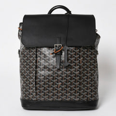 極美品 GOYARD ゴヤール アルパンMM バックパック リュック ALPIN2MMLTY01CL01P PVC レザー ブラック 中古 4a005889