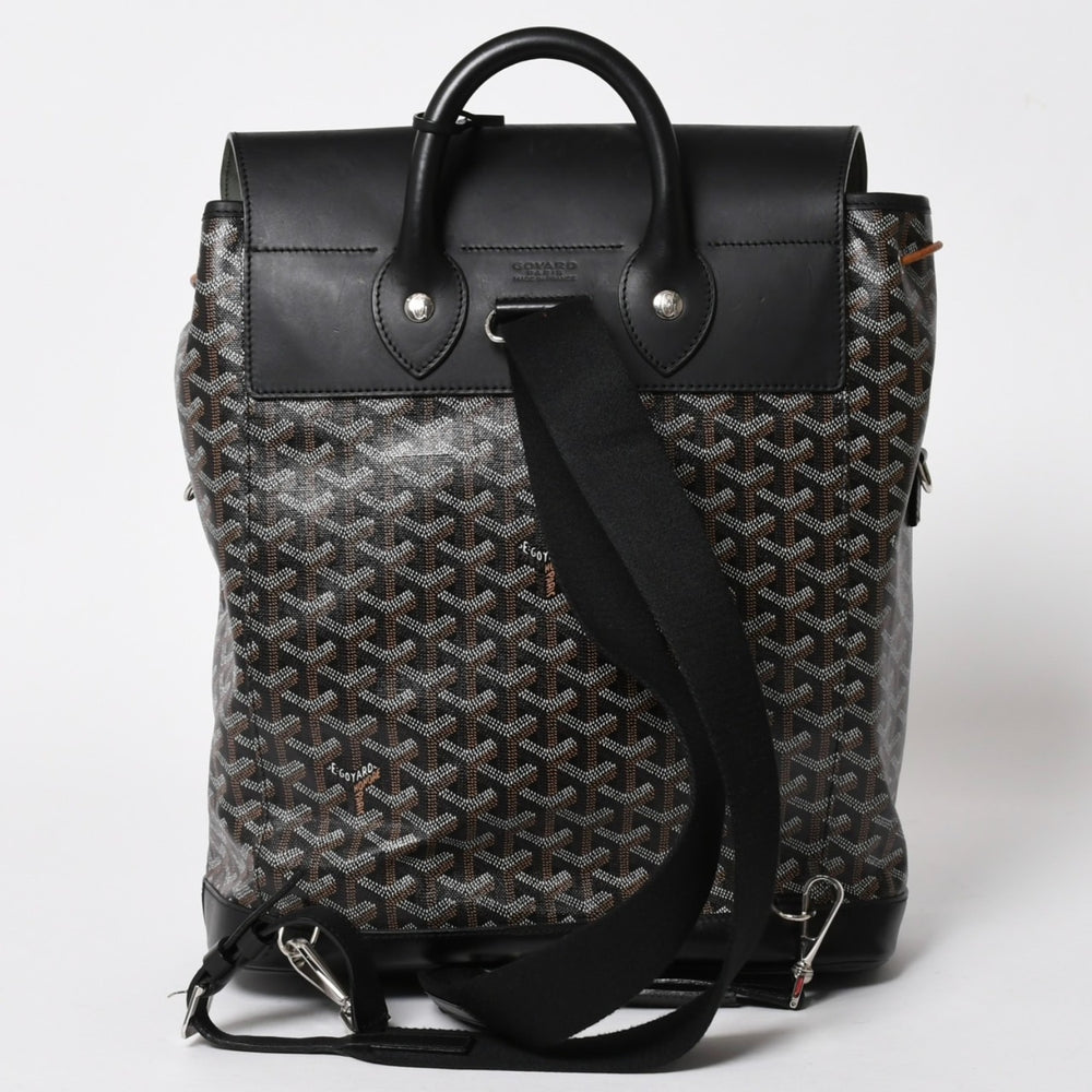 極美品 GOYARD ゴヤール アルパンMM バックパック リュック ALPIN2MMLTY01CL01P PVC レザー ブラック 中古 4a005889