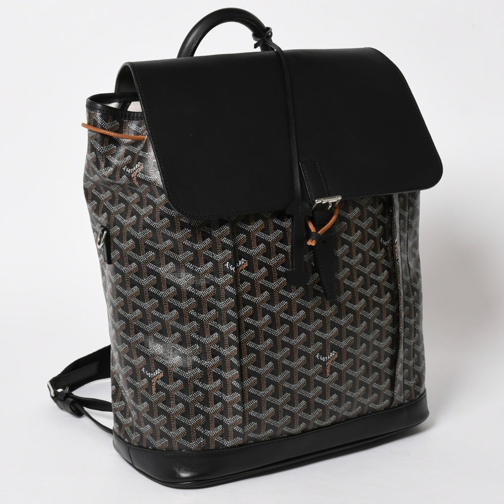極美品 GOYARD ゴヤール アルパンMM バックパック リュック ALPIN2MMLTY01CL01P PVC レザー ブラック 中古 4a005889