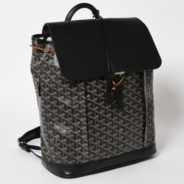 極美品 GOYARD ゴヤール アルパンMM バックパック リュック ALPIN2MMLTY01CL01P PVC レザー ブラック 中古 4a005889
