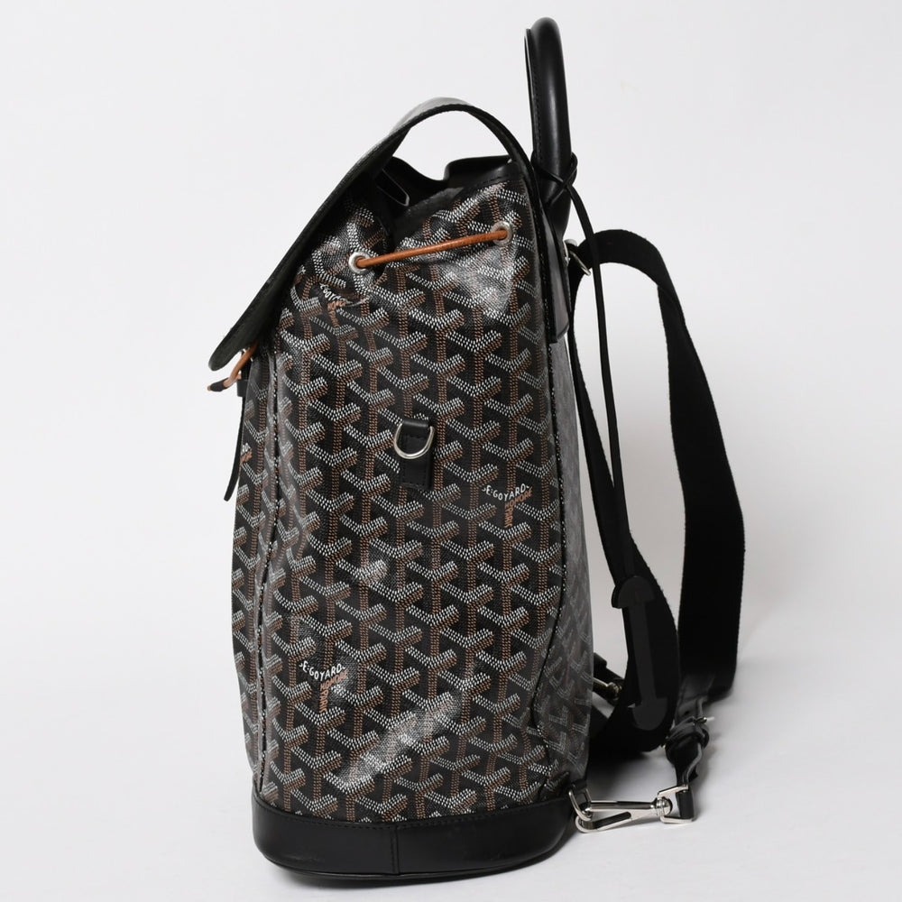 極美品 GOYARD ゴヤール アルパンMM バックパック リュック ALPIN2MMLTY01CL01P PVC レザー ブラック 中古 4a005889