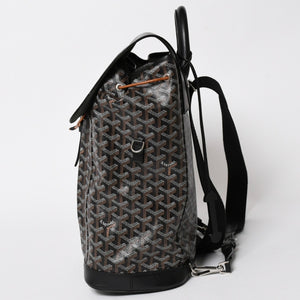 極美品 GOYARD ゴヤール アルパンMM バックパック リュック ALPIN2MMLTY01CL01P PVC レザー ブラック 中古 4a005889