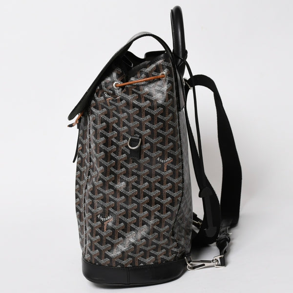 極美品 GOYARD ゴヤール アルパンMM バックパック リュック ALPIN2MMLTY01CL01P PVC レザー ブラック 中古 4a005889