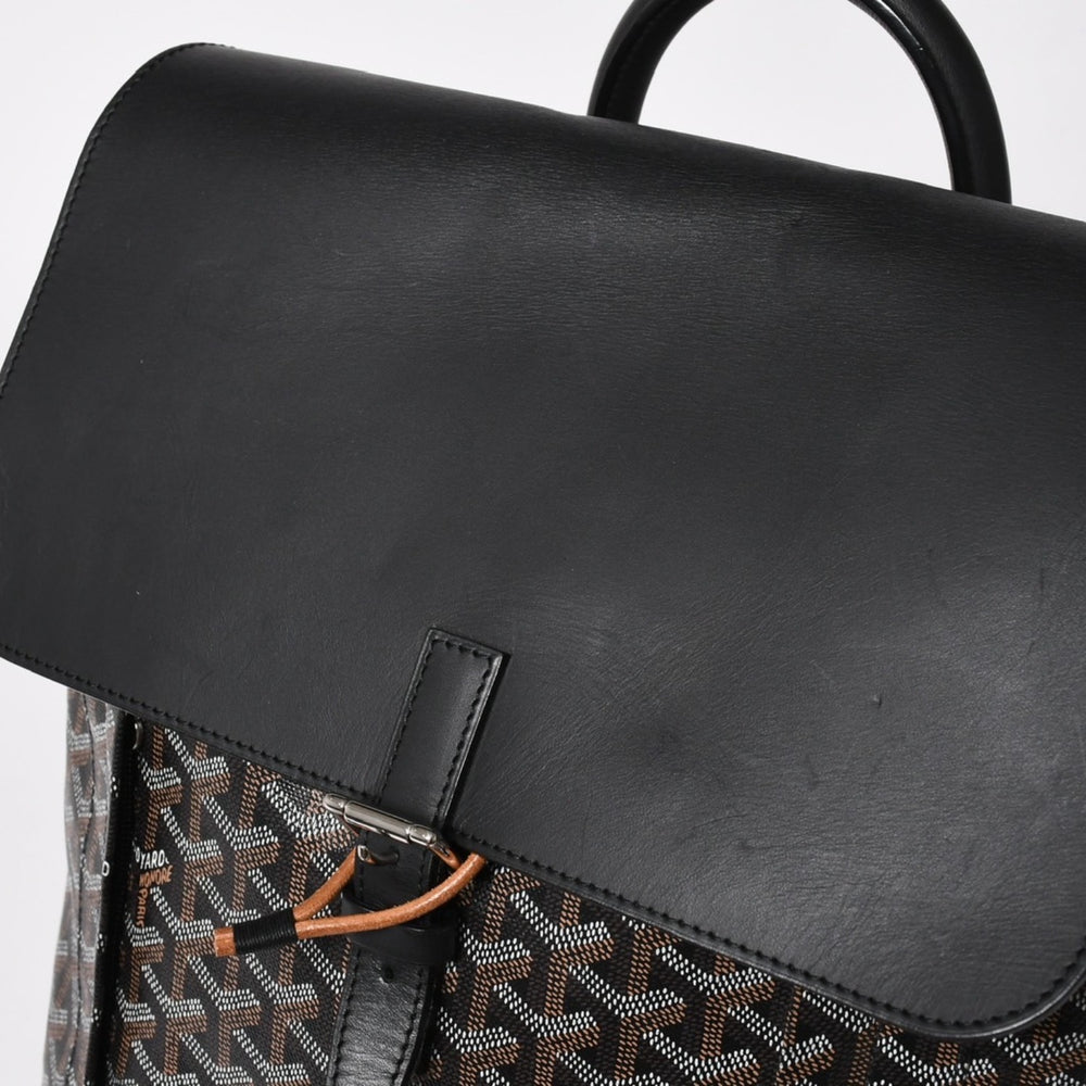 Very Good Condition GOYARD Alpine MM Backpack Rucksack ALPIN2MMLTY01CL01P PVC Leather Black Used 4a005889