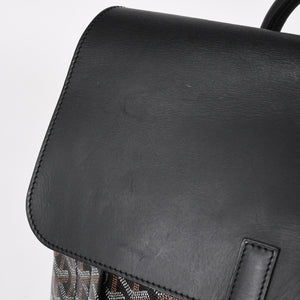 極美品 GOYARD ゴヤール アルパンMM バックパック リュック ALPIN2MMLTY01CL01P PVC レザー ブラック 中古 4a005889