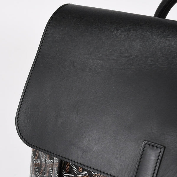 極美品 GOYARD ゴヤール アルパンMM バックパック リュック ALPIN2MMLTY01CL01P PVC レザー ブラック 中古 4a005889