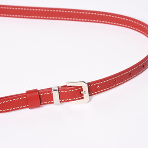 新品同様 GOYARD ゴヤール カップヴェールPM ショルダーバッグ CAPVE2PMLTY02CL02P レッド シルバー金具 美品 中古 4a006587