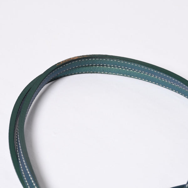 GOYARD ゴヤール Saint Louis GM サンルイGM トートバッグ CHN020247 メタリックグリーン 2024年限定 美品 中古 4a000985