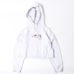 Stussy ステューシー レディース Hoodie フーディー パーカー グレー レッド バーガンディ クロップド 美品 中古 4a008419