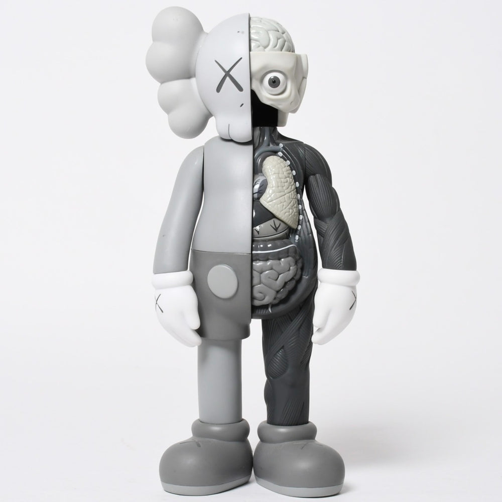 KAWS OPEN EDITION 2016 Human Body Model MEDICOMTOY Art Gray Good Condition Used 4a009295