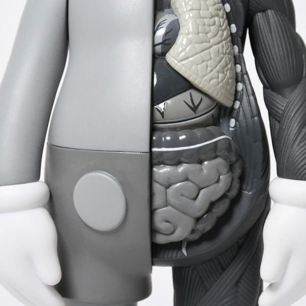 KAWS カウズ OPEN EDITION オープンエディション 2016 人体模型 MEDICOMTOY メディコムトイ アート グレー 美品 中古 4a009295