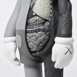 KAWS カウズ OPEN EDITION オープンエディション 2016 人体模型 MEDICOMTOY メディコムトイ アート グレー 美品 中古 4a009295