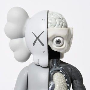 KAWS カウズ OPEN EDITION オープンエディション 2016 人体模型 MEDICOMTOY メディコムトイ アート グレー 美品 中古 4a009295