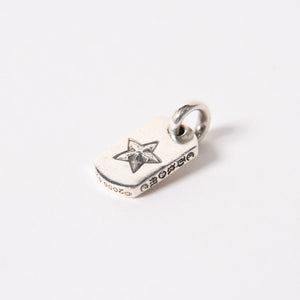 極美品 CHROME HEARTS クロムハーツ DT TNY STAR タイニースター ドッグタグ ペンダントトップ 重量約3.43g シルバー925 中古 4a005377