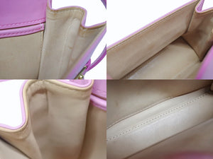 DELVAUX デルヴォー TEMPETE SMALL タンペート スモール 2WAYバッグ カーフレザー ピンク ゴールド金具 美品 中古 4b005952