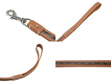 画像をギャラリービューアに読み込む, GOYARD ゴヤール リード ペット用品 ペットグッズ ブラウン PVC レザー ヘリンボーン シルバー金具 美品 中古 4b006692