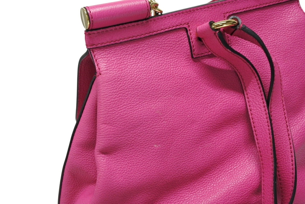 DOLCE&GABBANA ドルチェアンドガッバーナ リュック デイパック イタリア製 レザー ピンク ゴールド金具 美品 中古 4b007482