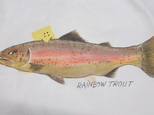 New and unused KAPITAL Capital 20/-T-shirt cropped T-shirt (1 trout PECKISH RAINBOWYpt) T-shirt K2508SC001 White Size 1 Used 4b007548