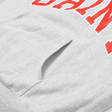 Load image into Gallery viewer, Saint Michael セント マイケル Arch Saint hoodie アーチ セント フーディ― SM-A23-0000-031 カラー グレー サイズL 美品 中古 4b012004