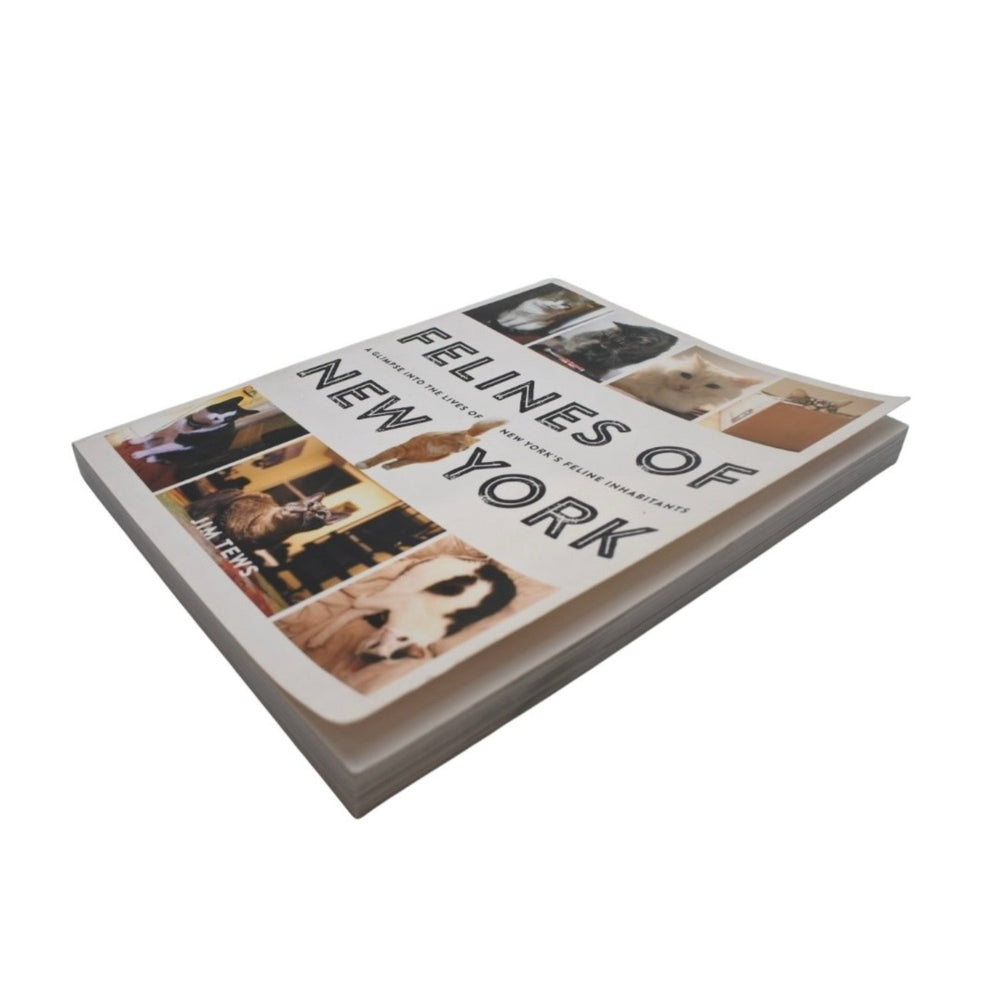 New York cat photo book book cat cat animal book magazine good condition used 4b013493